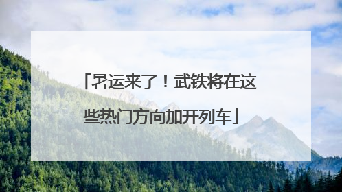暑运来了！武铁将在这些热门方向加开列车