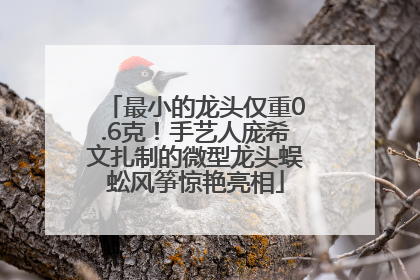 最小的龙头仅重0.6克！手艺人庞希文扎制的微型龙头蜈蚣风筝惊艳亮相