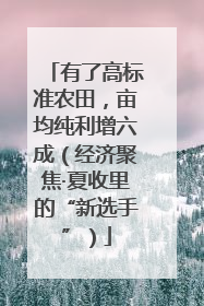 有了高标准农田，亩均纯利增六成（经济聚焦·夏收里的“新选手”）