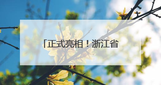 正式亮相！浙江省首个“平安文化地铁体验站”来了