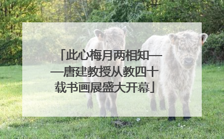 此心梅月两相知——唐建教授从教四十载书画展盛大开幕