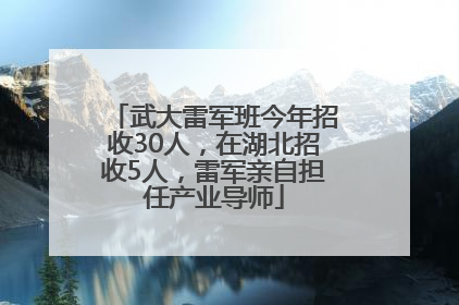 武大雷军班今年招收30人，在湖北招收5人，雷军亲自担任产业导师