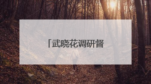 武晓花调研督导群众身边不正之风和腐败问题集中整治工作