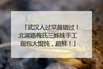 武汉人过早莫错过！北湖路梅氏三姊妹手工现包大馄饨，超鲜！