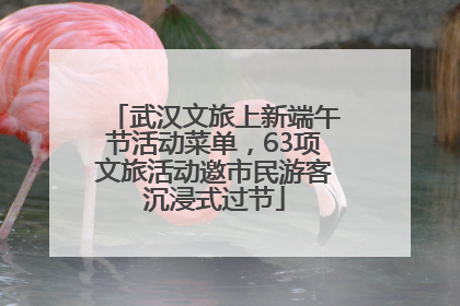武汉文旅上新端午节活动菜单，63项文旅活动邀市民游客沉浸式过节
