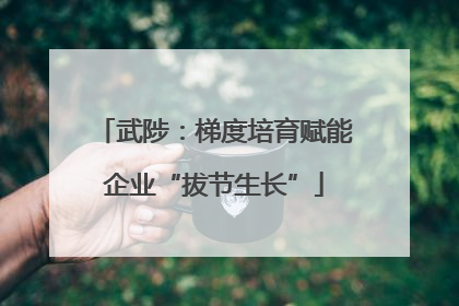 武陟：梯度培育赋能企业“拔节生长”