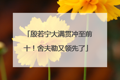 殷若宁大满贯冲至前十！舍夫勒又领先了