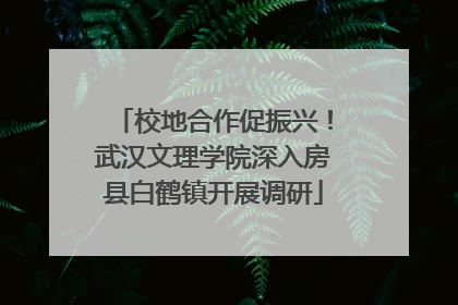 校地合作促振兴！武汉文理学院深入房县白鹤镇开展调研