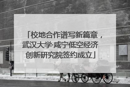 校地合作谱写新篇章，武汉大学·咸宁低空经济创新研究院签约成立