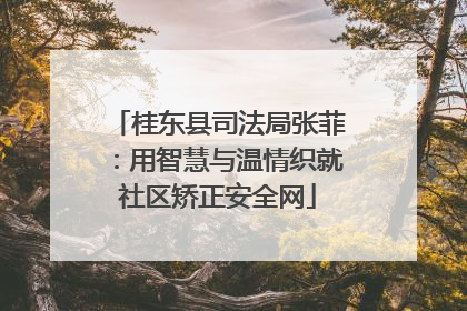 桂东县司法局张菲：用智慧与温情织就社区矫正安全网