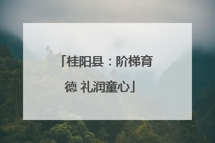 桂阳县：阶梯育德 礼润童心