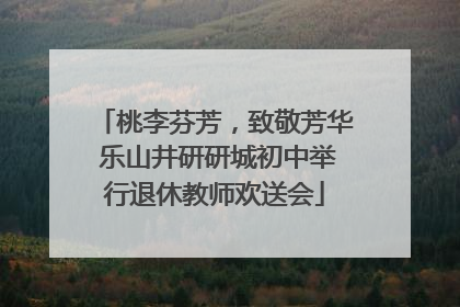 桃李芬芳，致敬芳华 乐山井研研城初中举行退休教师欢送会