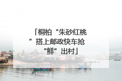桐柏“朱砂红桃”搭上邮政快车抢“鲜”出村