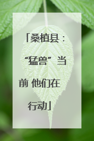 桑植县：“猛兽”当前 他们在行动