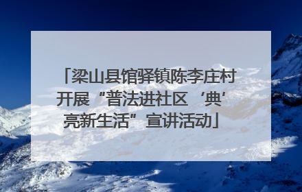 梁山县馆驿镇陈李庄村开展“普法进社区‘典’亮新生活”宣讲活动