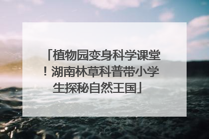 植物园变身科学课堂！湖南林草科普带小学生探秘自然王国
