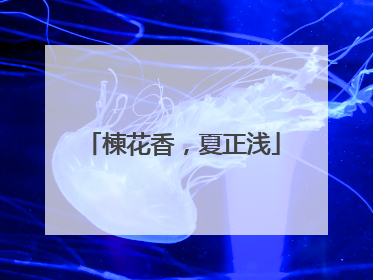 楝花香，夏正浅