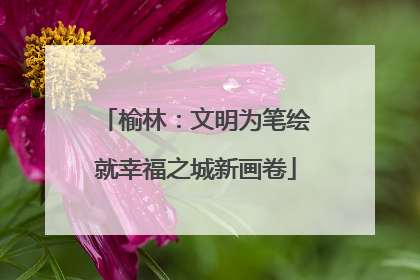 榆林：文明为笔绘就幸福之城新画卷