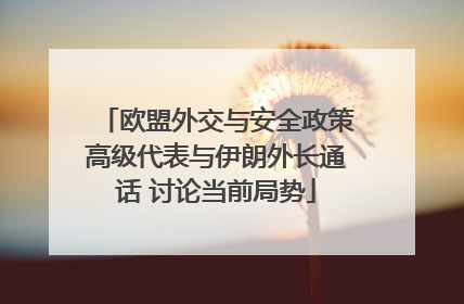 欧盟外交与安全政策高级代表与伊朗外长通话 讨论当前局势