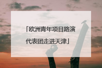 欧洲青年项目路演代表团走进天津