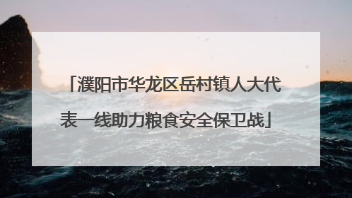 濮阳市华龙区岳村镇人大代表一线助力粮食安全保卫战