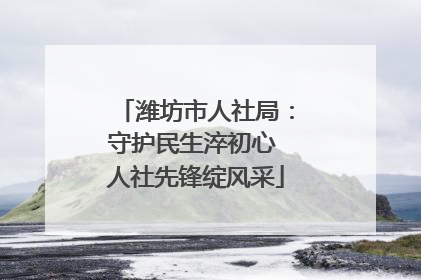 潍坊市人社局：守护民生淬初心 人社先锋绽风采