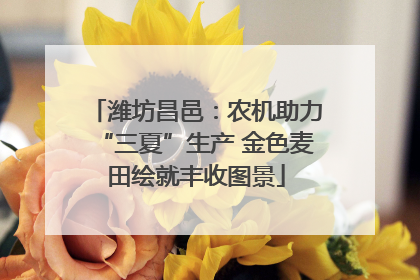 潍坊昌邑：农机助力“三夏”生产 金色麦田绘就丰收图景