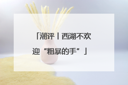 潮评丨西湖不欢迎“粗暴的手”