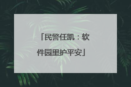 民警任凯：软件园里护平安