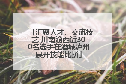 汇聚人才、交流技艺 川南渝西近300名选手在酒城泸州展开技能比拼