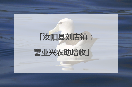 汝阳县刘店镇：薯业兴农助增收