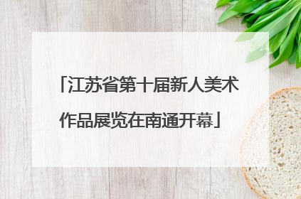 江苏省第十届新人美术作品展览在南通开幕
