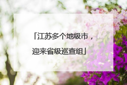 江苏多个地级市，迎来省级巡查组