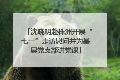 沈晓明赴株洲开展“七一”走访慰问并为基层党支部讲党课