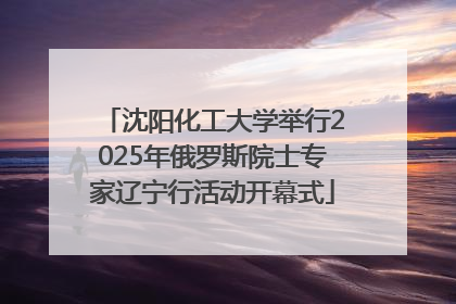沈阳化工大学举行2025年俄罗斯院士专家辽宁行活动开幕式