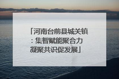 河南台前县城关镇：集智赋能聚合力 凝聚共识促发展