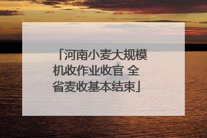 河南小麦大规模机收作业收官 全省麦收基本结束