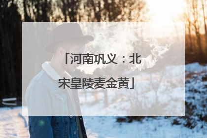 河南巩义：北宋皇陵麦金黄