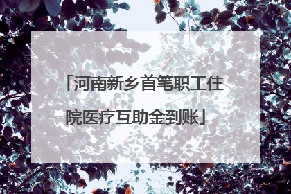 河南新乡首笔职工住院医疗互助金到账