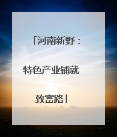 河南新野：特色产业铺就致富路