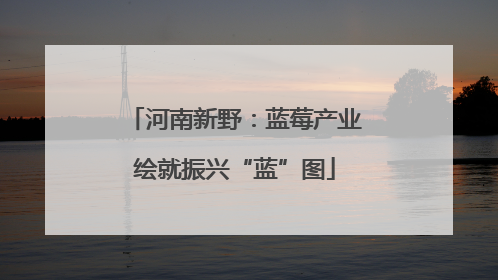 河南新野：蓝莓产业绘就振兴“蓝”图