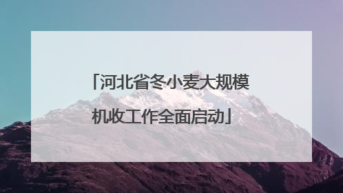 河北省冬小麦大规模机收工作全面启动