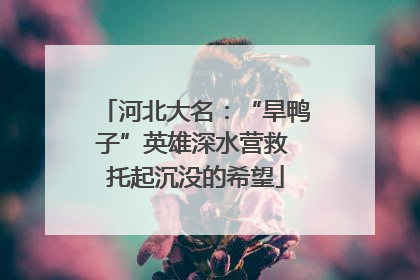 河北大名：“旱鸭子”英雄深水营救 托起沉没的希望
