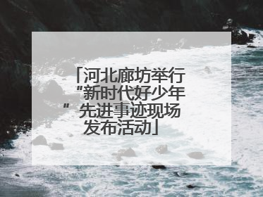 河北廊坊举行“新时代好少年”先进事迹现场发布活动