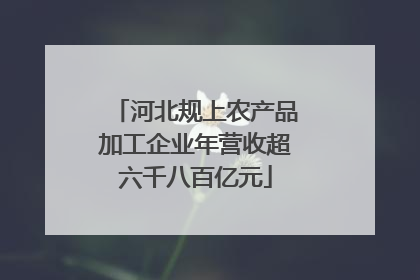 河北规上农产品加工企业年营收超六千八百亿元