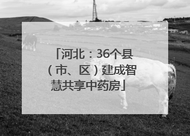 河北：36个县（市、区）建成智慧共享中药房