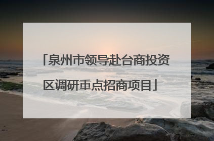 泉州市领导赴台商投资区调研重点招商项目