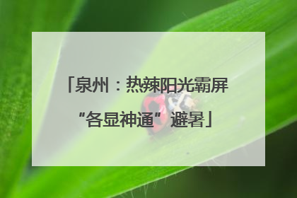 泉州：热辣阳光霸屏 “各显神通”避暑