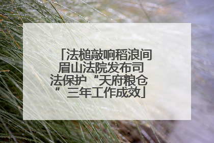法槌敲响稻浪间 眉山法院发布司法保护“天府粮仓”三年工作成效