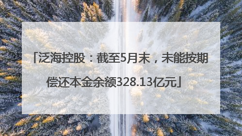 泛海控股：截至5月末，未能按期偿还本金余额328.13亿元